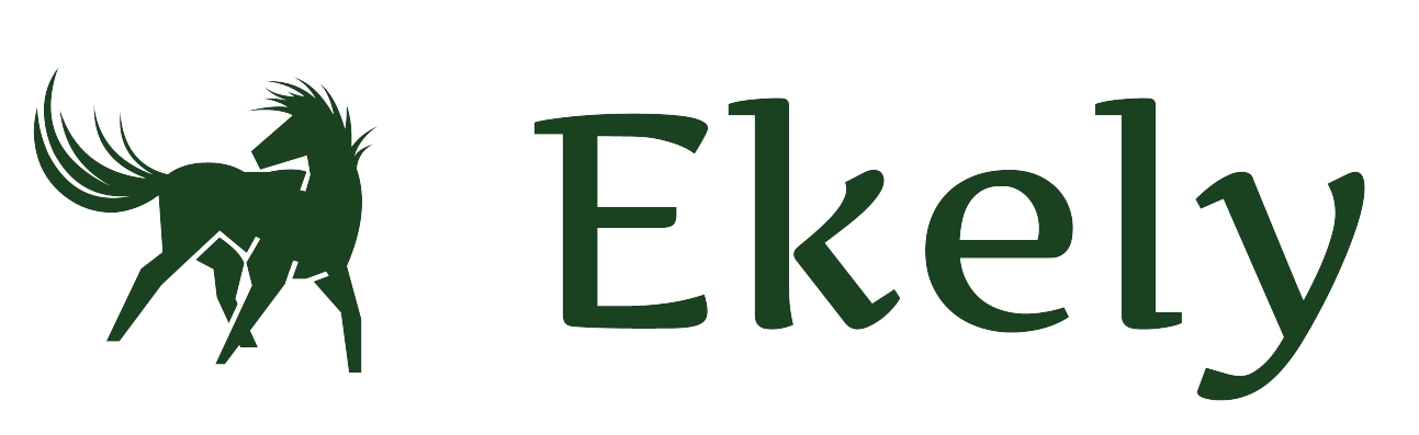 Ekely – mein Connemarapony